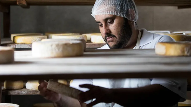 Produção de queijo da Canastra