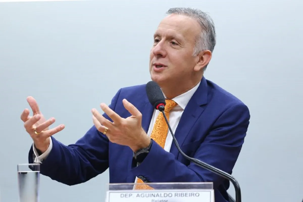 Aguinaldo Riberio, relator da reforma tributária.