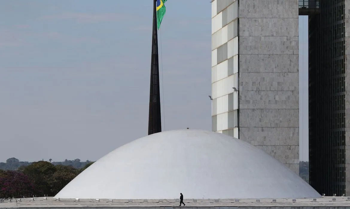 Palácio do Congresso Nacional na Esplanada dos Ministérios, em Brasília (Fonte: Fabio Rodrigues Pozzebom/Agência Brasil)
