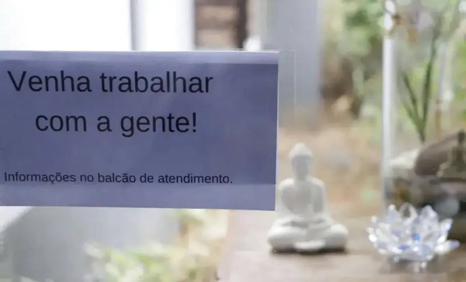 Dados do Sebrae e da Confederação Nacional do Comércio (CNC) sinalizam que os empresários do setor estão mais confiantes com a geração de empregos até o fim do ano