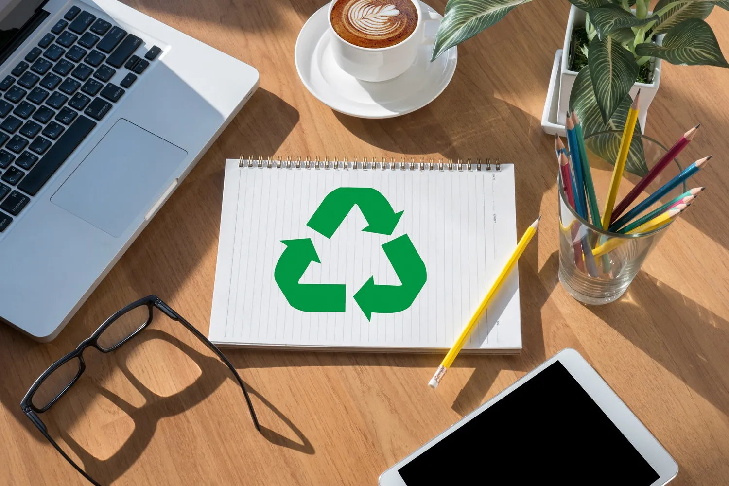 Saiba como grandes marcas apostam em transparência socioambiental como diferencial competitivo no varejo