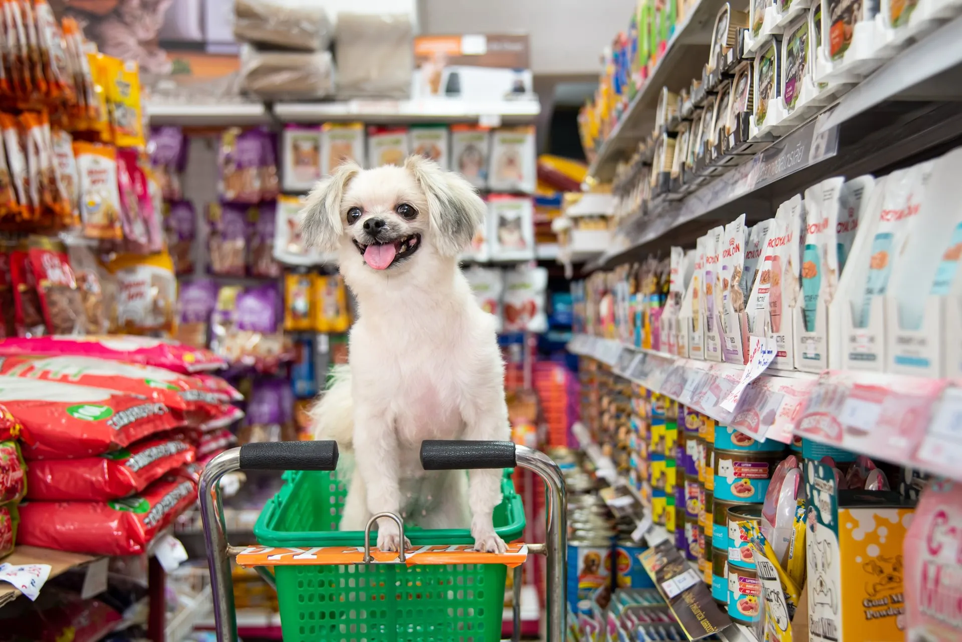 Mercado Pet