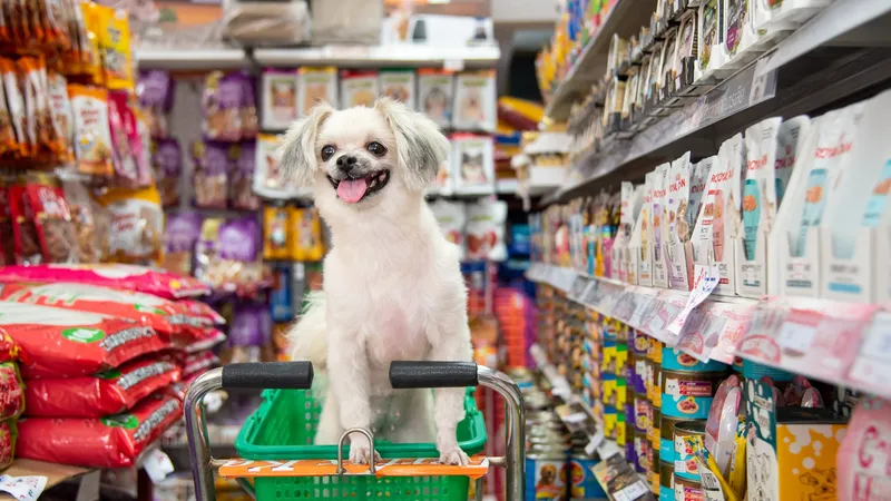 Mercado Pet