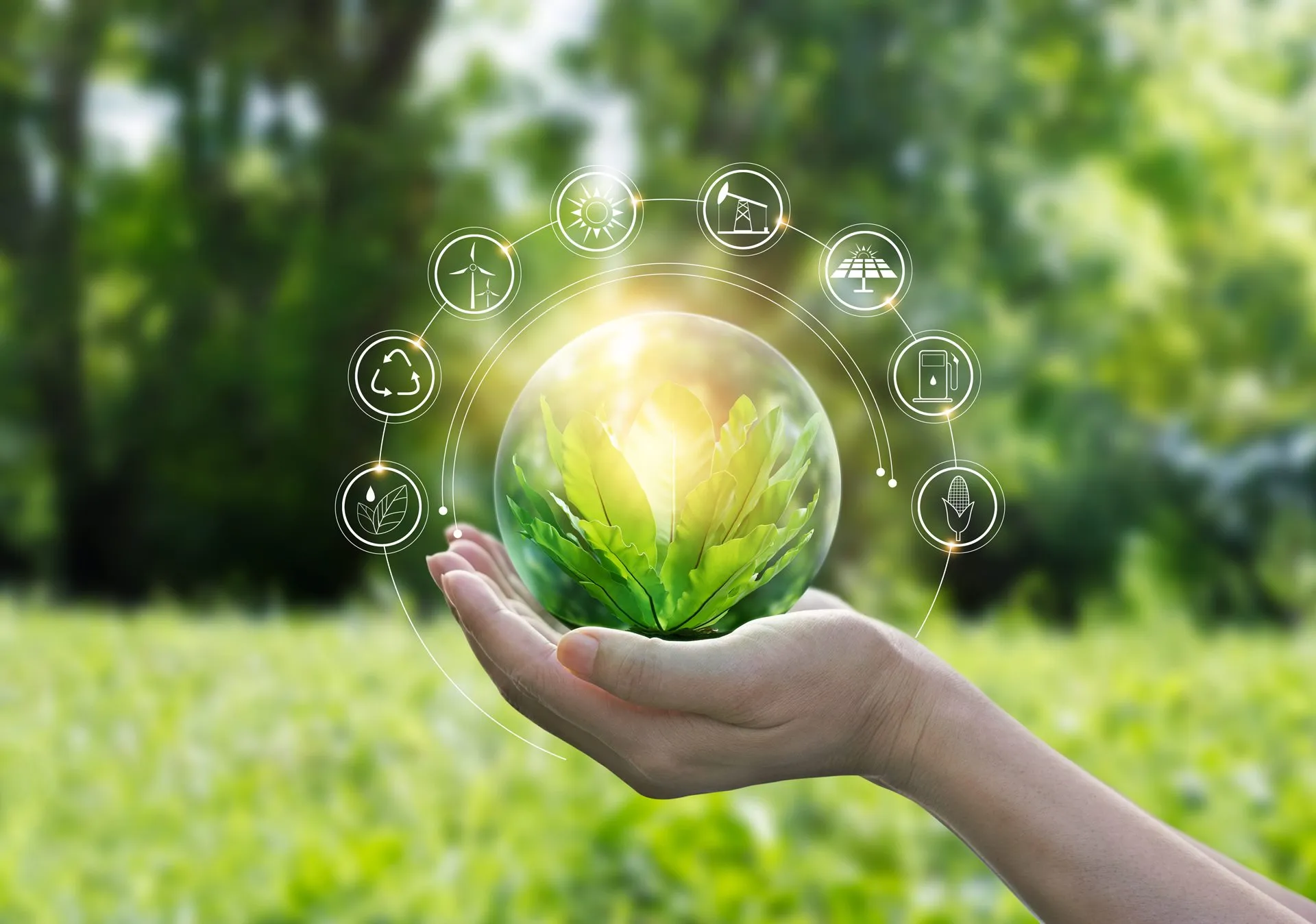 Sustentabilidade no Brasil