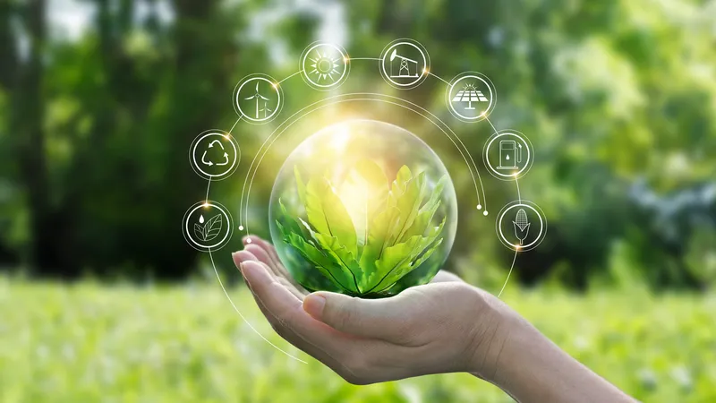 Sustentabilidade no Brasil