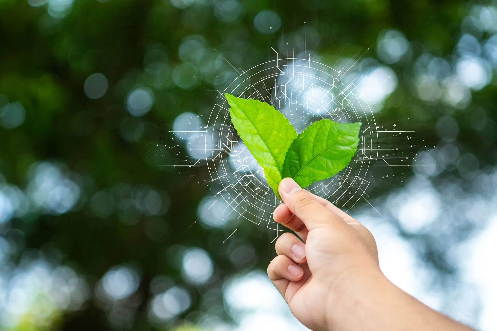 Investimentos em atividades que impactam a natureza e empobrecem o solo chegam a US$7 trilhões