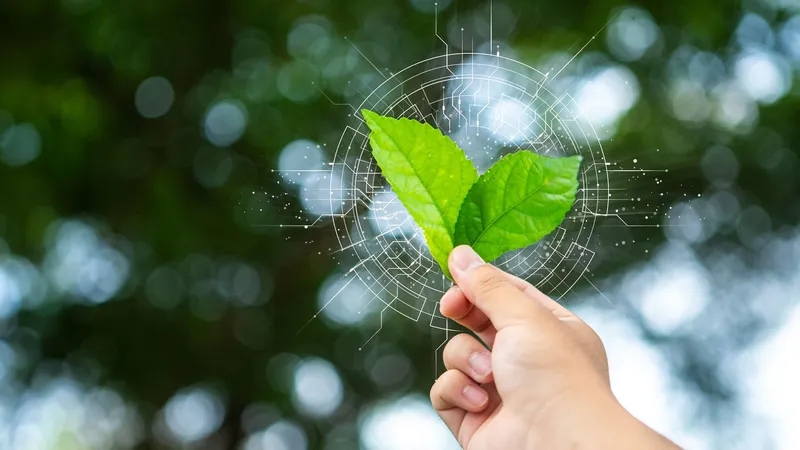 Investimentos em atividades que impactam a natureza e empobrecem o solo chegam a US$7 trilhões