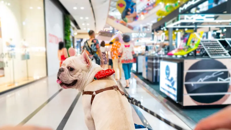 Empresas oferecem benefícios aos tutores de pets