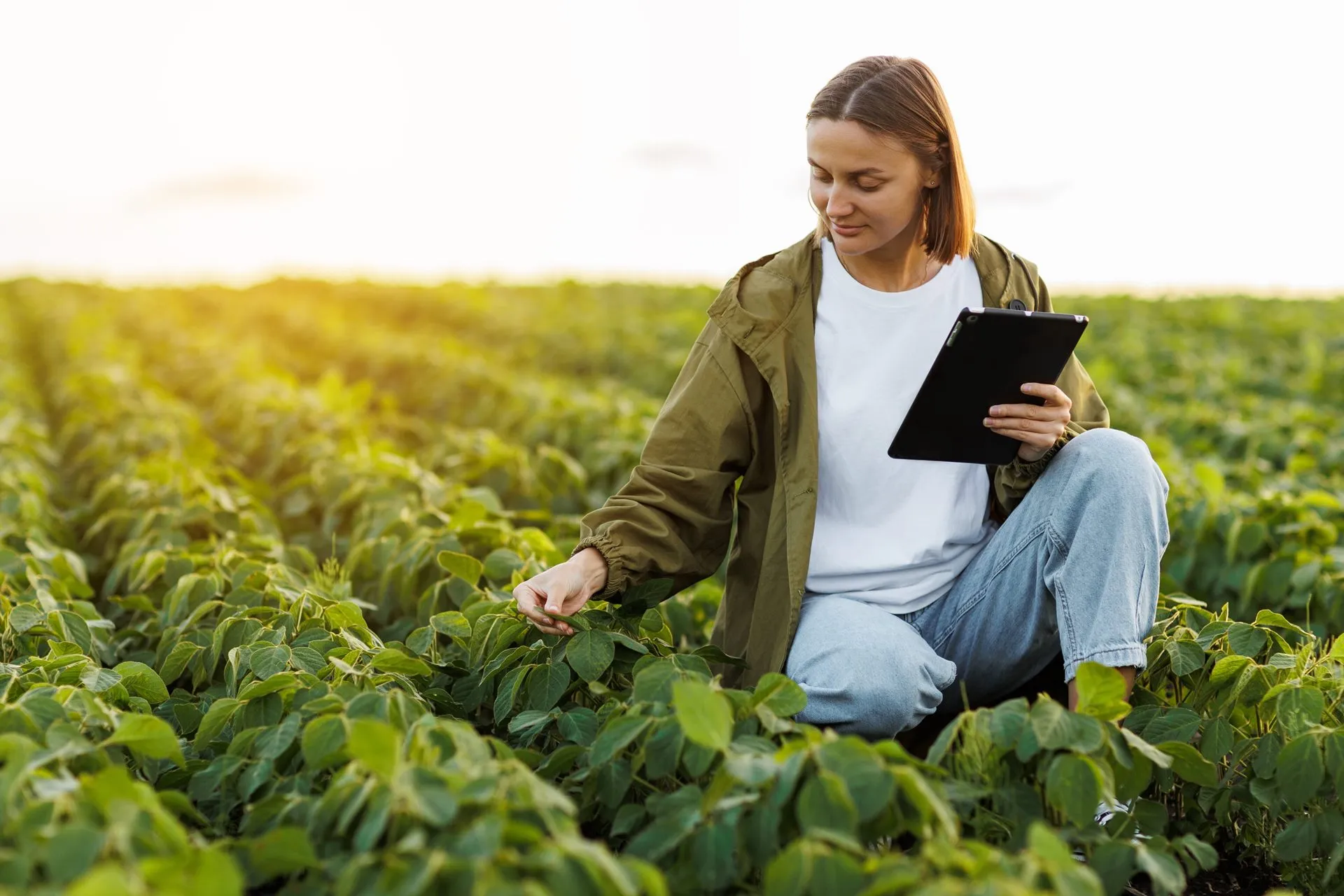 Comunicação dirigida avança no agro e se consolida como estratégia para gestão de reputação e relacionamento