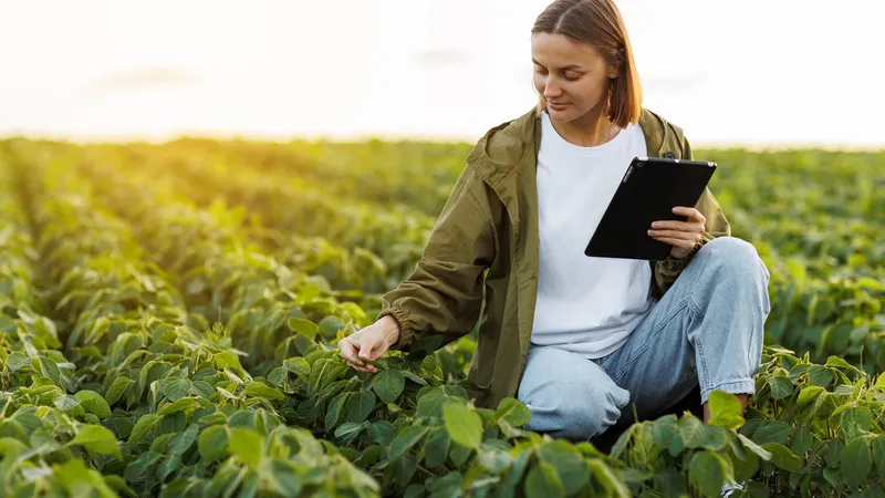Comunicação dirigida avança no agro e se consolida como estratégia para gestão de reputação e relacionamento