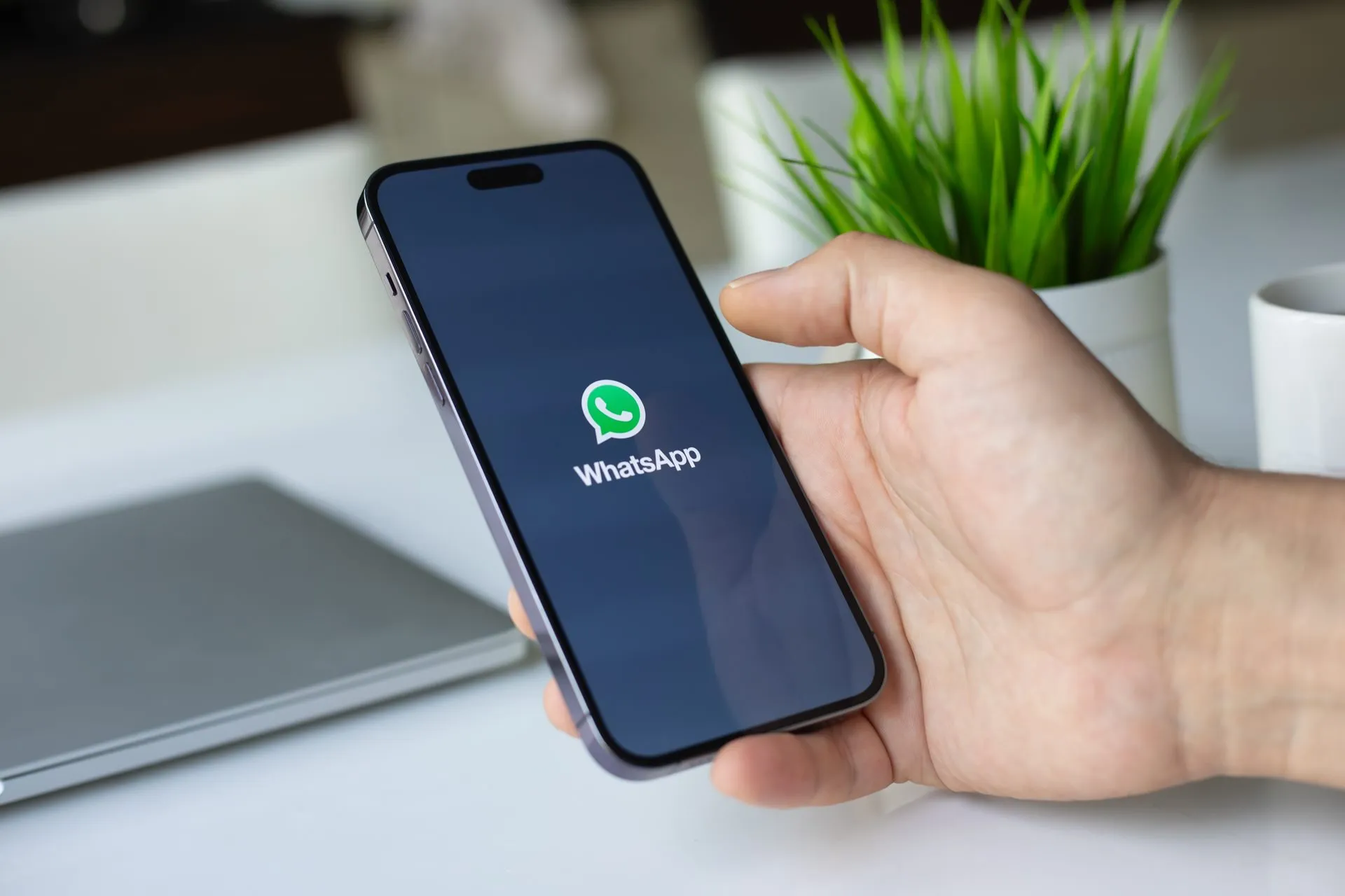 Consumidor aceita mensagens de lojas no WhatsApp, mas prefere atendimento a propaganda