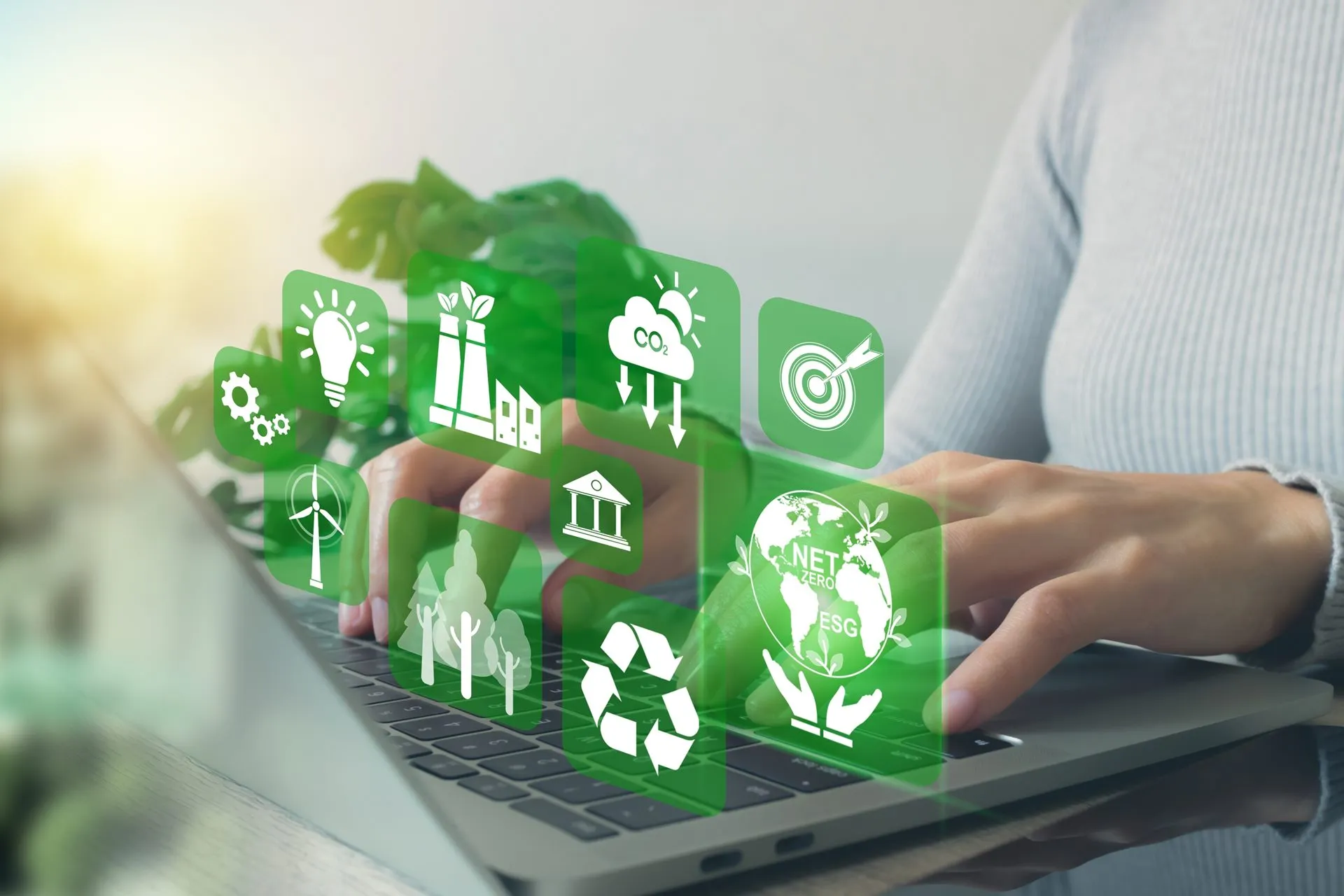 Sustentabilidade é palavra chave para o crescimento saudável das empresas