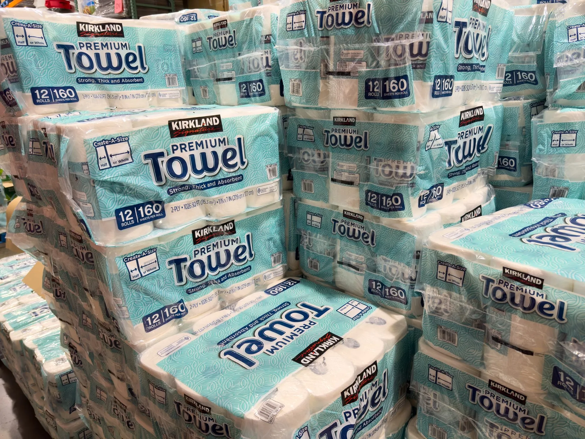 Mercado tissue cresce no Brasil e aumenta demanda por responsabilidade ambiental com uso de embalagens biodegradáveis