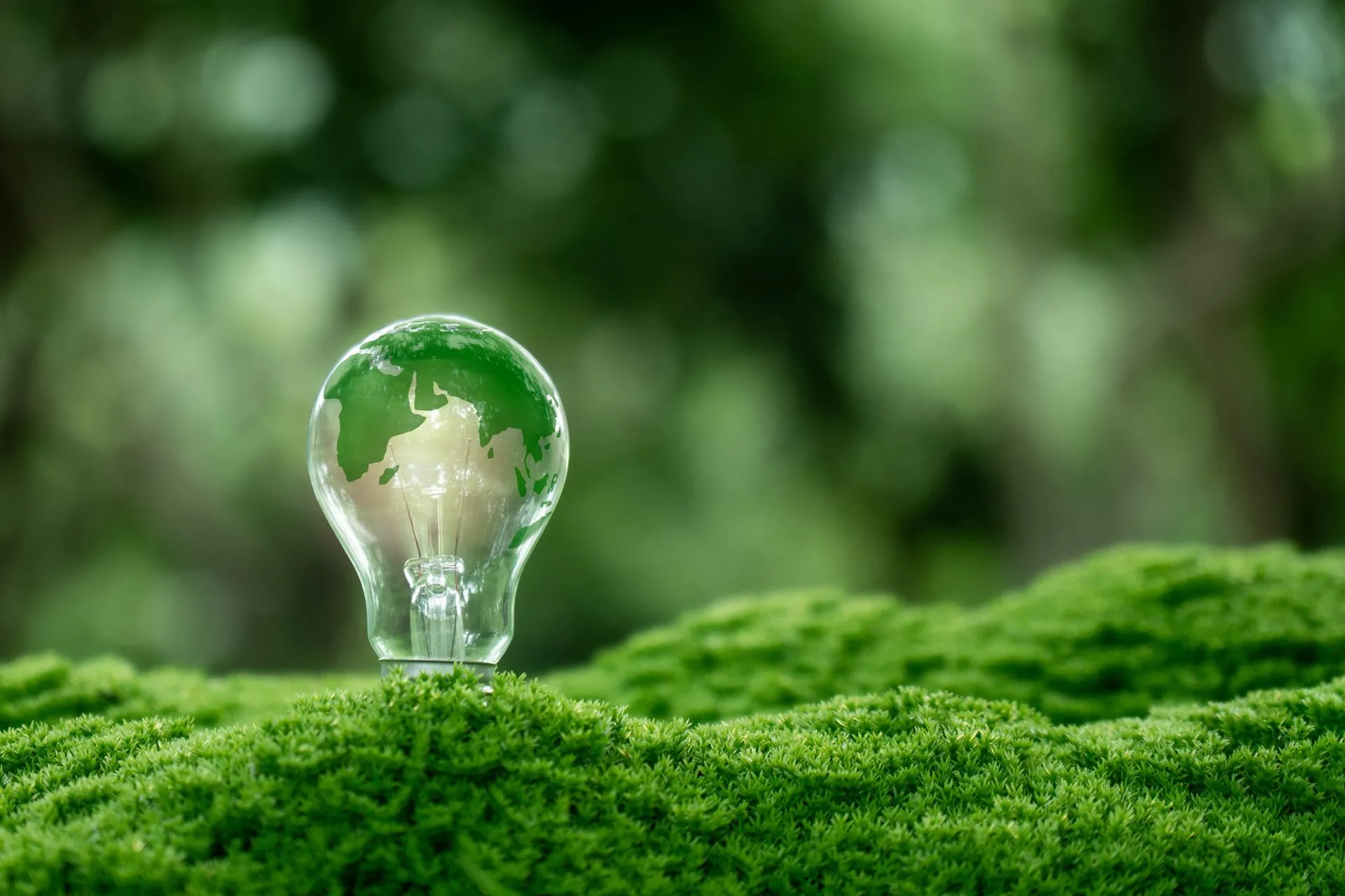 Como a transição para energias limpas está moldando o futuro dos negócios