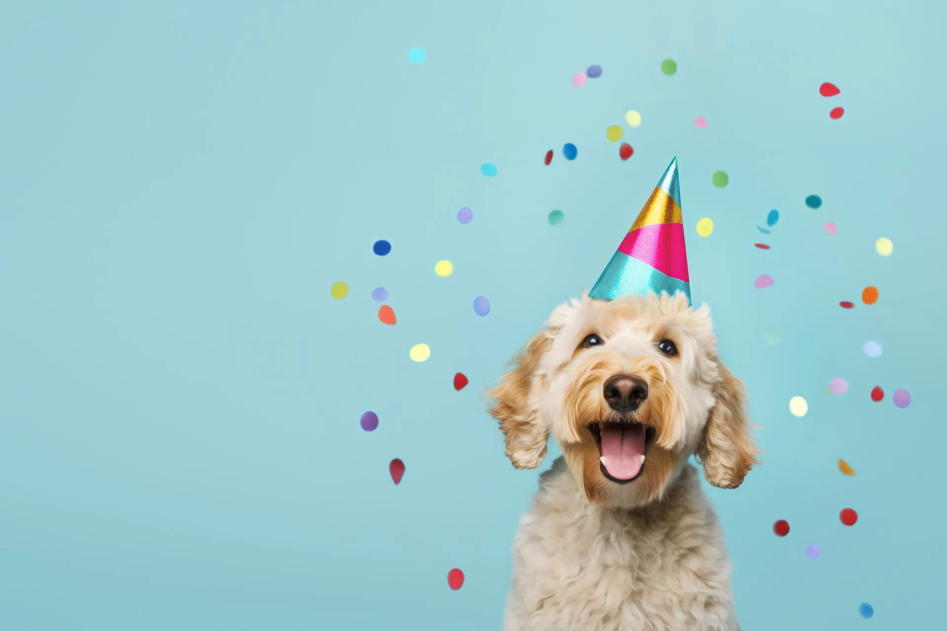 Especialista aponta sete hábitos que ajudam casais a prosperar empreendendo no mercado pet