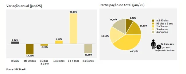 Inadimplência cresce e atinge 68,83 milhões de consumidores em janeiro, aponta CNDL/SPC Brasil
