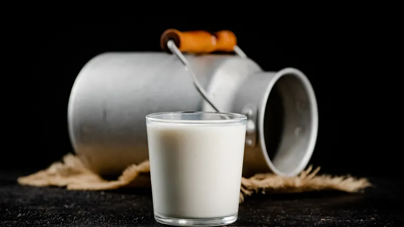 Brasileiros ampliam consumo de bebidas vegetais e buscam opções mais nutritivas e sustentáveis