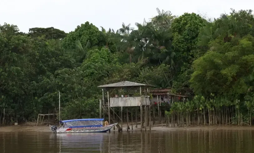 Amazônia que empreende Rota do Combu se fortalece como modelo de desenvolvimento local